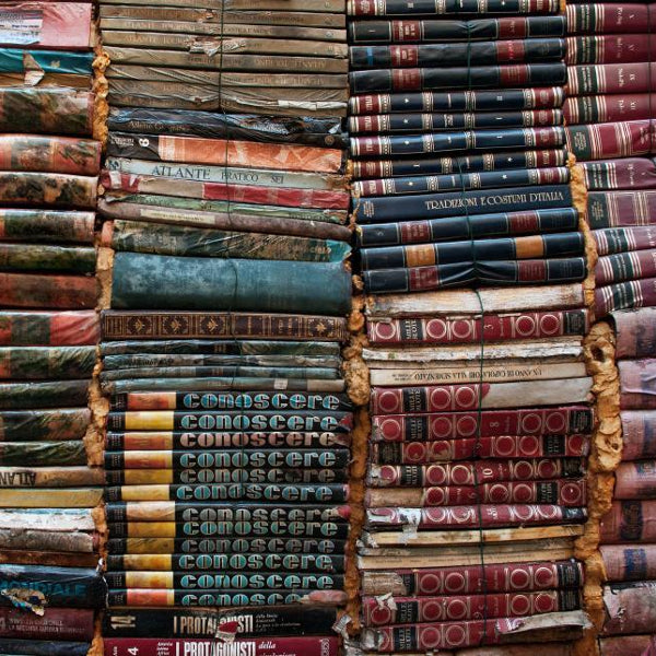 Stand Alones and Zines